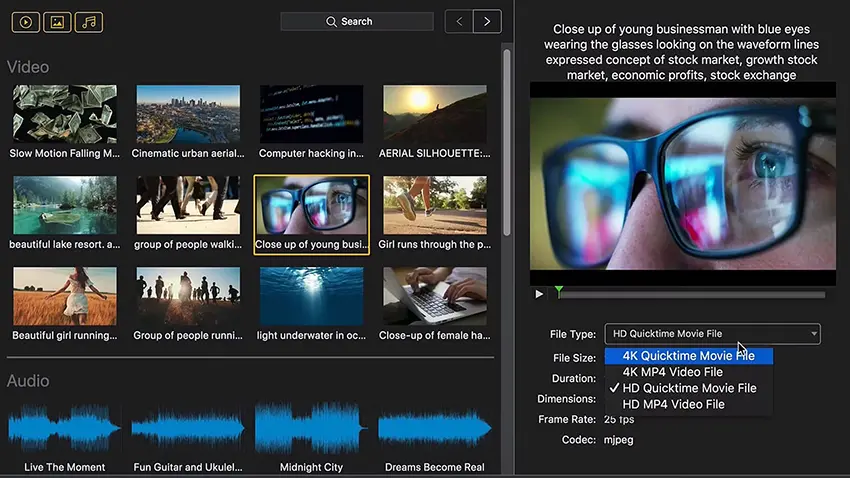Searching the Stock Media Library